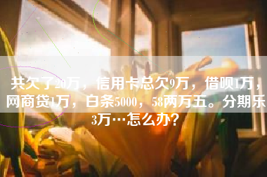 共欠了20万，信用卡总欠9万，借呗1万，网商贷1万，白条5000，58两万五。分期乐3万…怎么办？