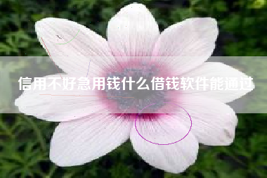 信用不好急用钱什么借钱软件能通过