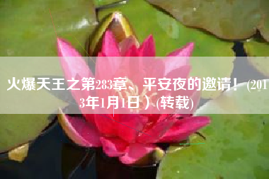 火爆天王之第283章、平安夜的邀请！(2013年1月1日）(转载)