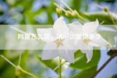 网贷怎么贷，第一次能贷多少