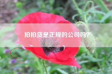 拍拍贷是正规的公司吗？
