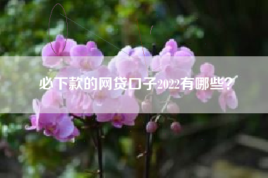 必下款的网贷口子2022有哪些？