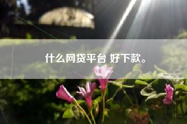什么网贷平台 好下款。