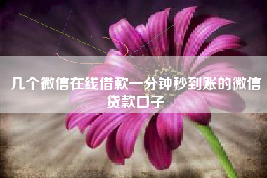 几个微信在线借款一分钟秒到账的微信贷款口子