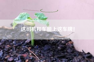 这司机和车能上这车牌！