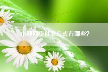 小额网贷催收方式有哪些？