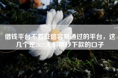 借钱平台不看征信容易通过的平台，这几个是2022无前期秒下款的口子