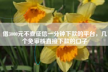借3000元不查征信一分钟下款的平台，几个免审核直接下款的口子