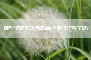 哪些贷款可以借款5000不看征信秒下款?