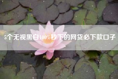 5个无视黑白100%秒下的网贷必下款口子