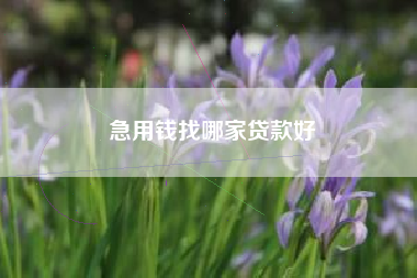 急用钱找哪家贷款好