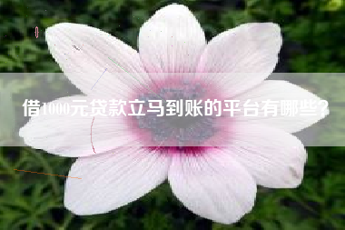 借1000元贷款立马到账的平台有哪些？