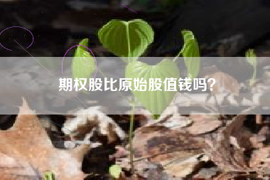 期权股比原始股值钱吗？