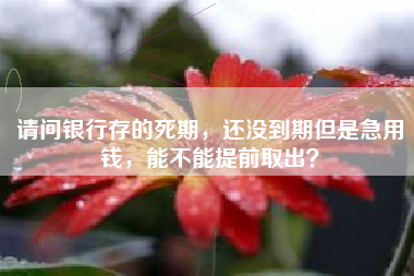请问银行存的死期，还没到期但是急用钱，能不能提前取出？