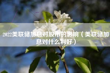 2022美联储加息对股市的影响（美联储加息对什么利好）