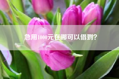 急用1000元在哪可以借到？