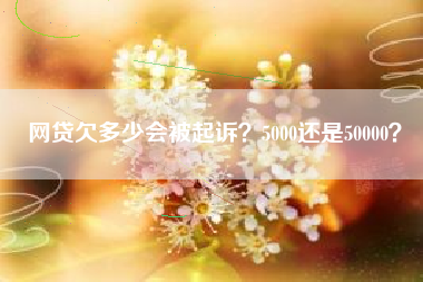 网贷欠多少会被起诉？5000还是50000？