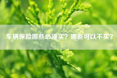 车辆保险哪些必须买？哪些可以不买？