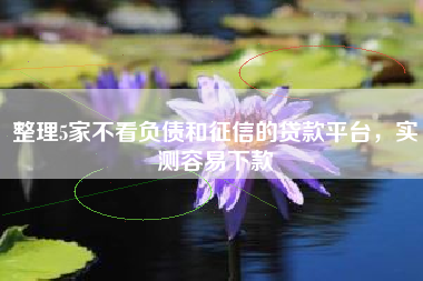整理5家不看负债和征信的贷款平台，实测容易下款