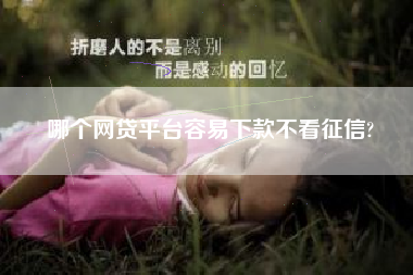 哪个网贷平台容易下款不看征信?