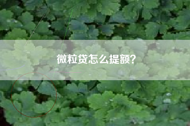 微粒贷怎么提额？