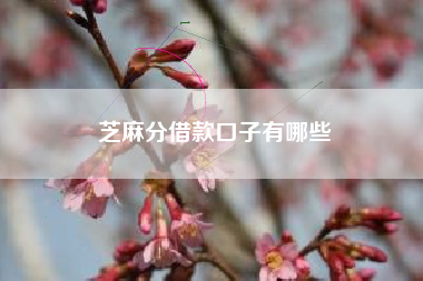 芝麻分借款口子有哪些