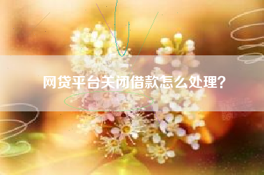 网贷平台关闭借款怎么处理？