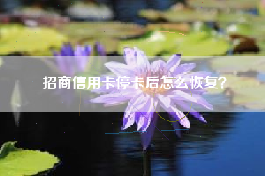 招商信用卡停卡后怎么恢复？