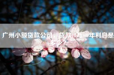 广州小额贷款公司，贷款10万一年利息是多少？