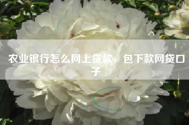 农业银行怎么网上贷款，包下款网贷口子