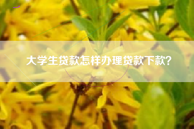 大学生贷款怎样办理贷款下款？