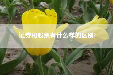 证券和股票有什么样的区别?