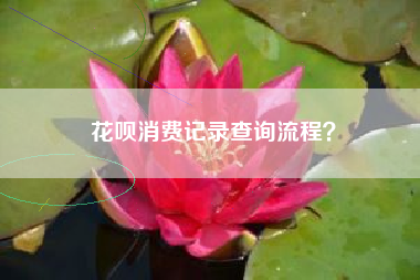花呗消费记录查询流程？