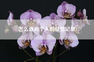 怎么查询个人的征信记录?