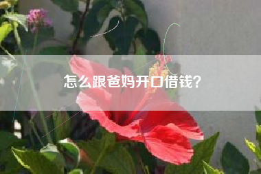 怎么跟爸妈开口借钱？