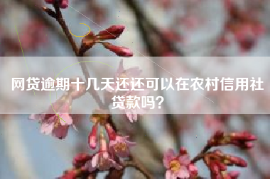 网贷逾期十几天还还可以在农村信用社贷款吗？