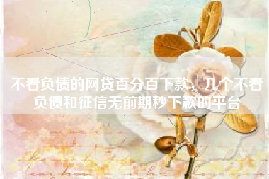 不看负债的网贷百分百下款，几个不看负债和征信无前期秒下款的平台