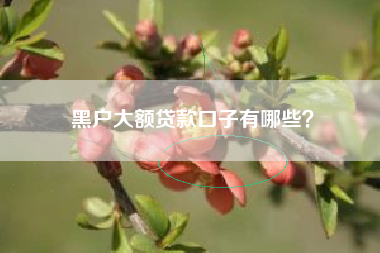 黑户大额贷款口子有哪些？