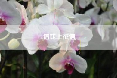 借钱上征信