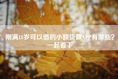 刚满18岁可以借的小额贷款APP有哪些？一起看下