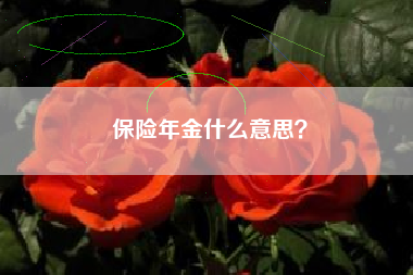保险年金什么意思？