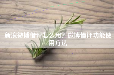 新浪微博借评怎么用？微博借评功能使用方法