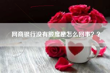 网商银行没有额度是怎么回事？？