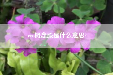 cro概念股是什么意思?