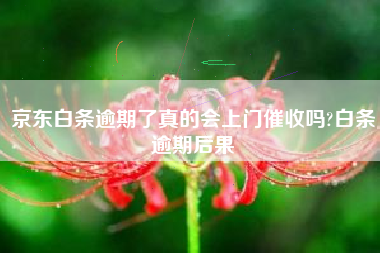 京东白条逾期了真的会上门催收吗?白条逾期后果