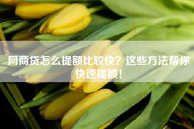 网商贷怎么提额比较快？这些方法帮你快速提额！