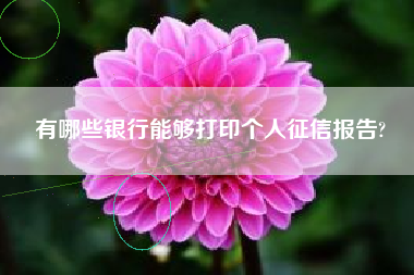 有哪些银行能够打印个人征信报告?