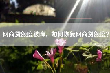 网商贷额度被降，如何恢复网商贷额度？