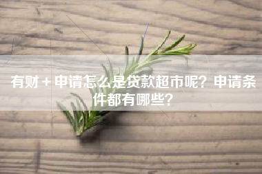 有财＋申请怎么是贷款超市呢？申请条件都有哪些？