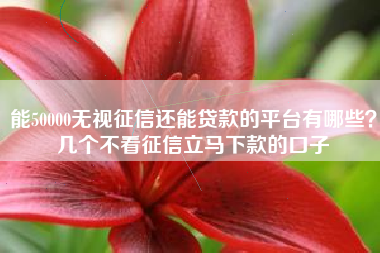 能50000无视征信还能贷款的平台有哪些？几个不看征信立马下款的口子